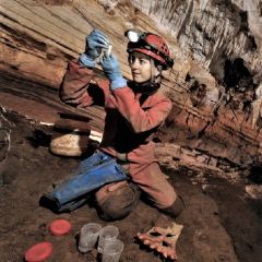 cave biology