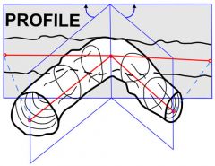 cave profile