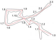 survey stations