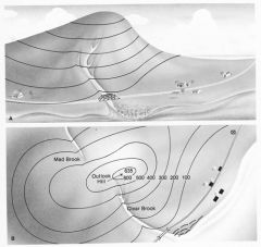Topographic line