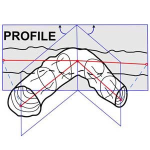 profile