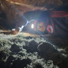 babajaber cave