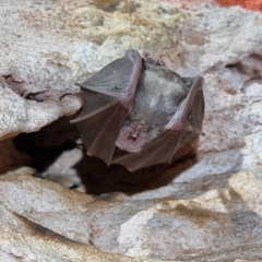 babajaber cave