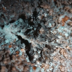 babajaber cave