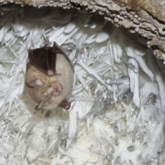 babajaber cave
