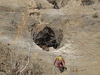 dosar-cave