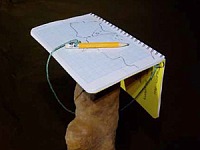 why-mapping